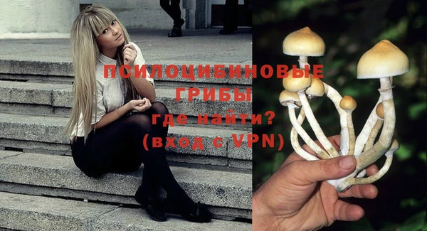 дурь Новозыбков