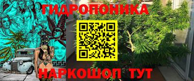 хмурый Кимры