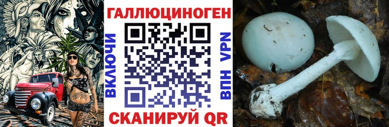 Псилоцибиновые грибы Magic Shrooms Ревда