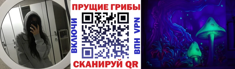 закладка  Ревда  Галлюциногенные грибы Magic Shrooms 