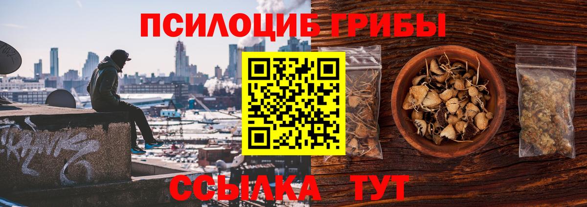 Галлюциногенные грибы Psilocybine cubensis Ревда