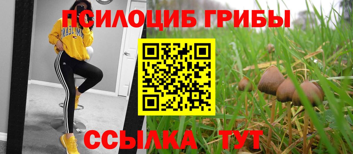 Галлюциногенные грибы Magic Shrooms Ревда